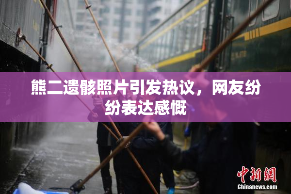 熊二遗骸照片引发热议，网友纷纷表达感慨