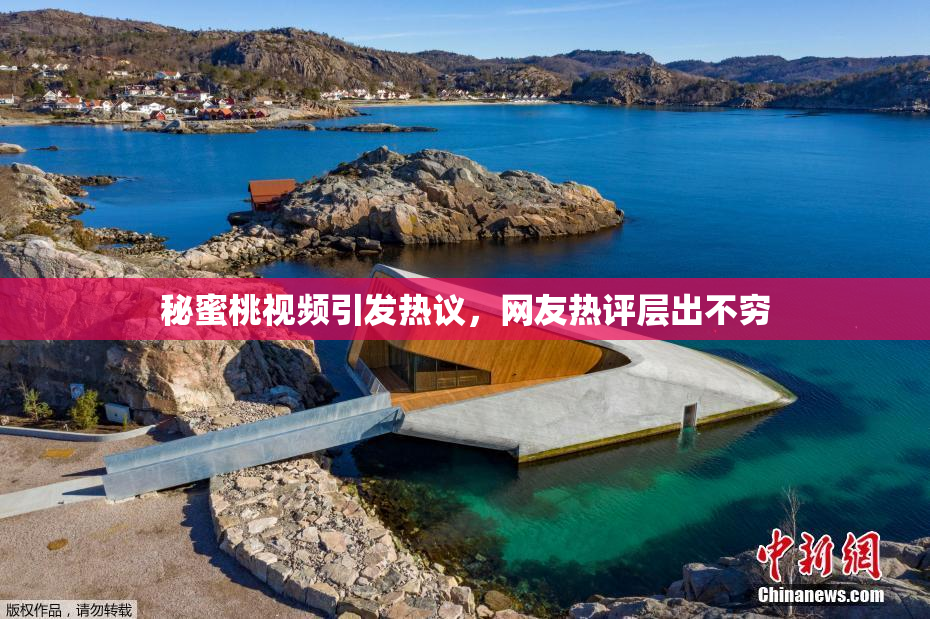 秘蜜桃视频引发热议，网友热评层出不穷