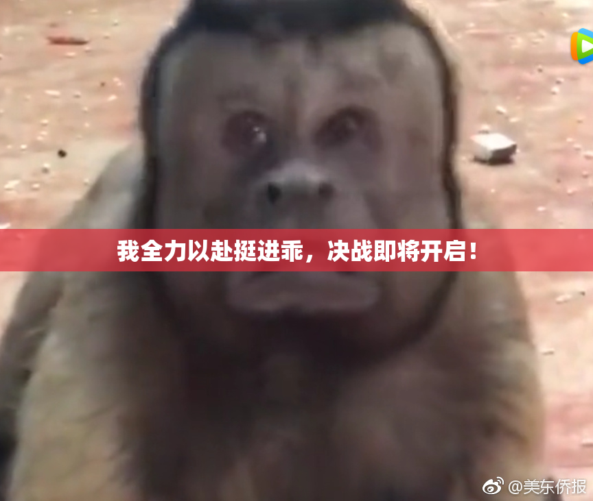 我全力以赴挺进乖，决战即将开启！