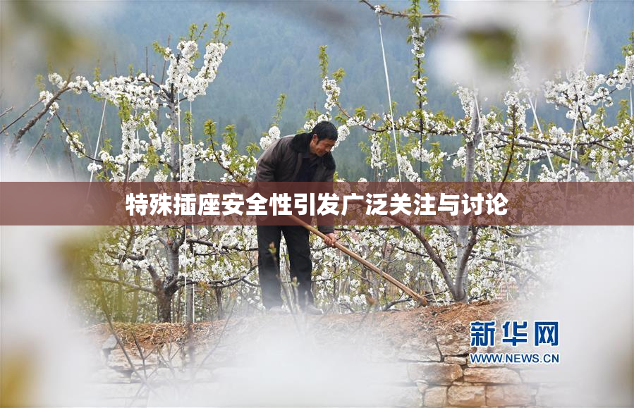 特殊插座安全性引发广泛关注与讨论