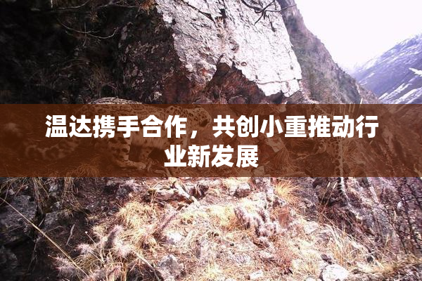 温达携手合作，共创小重推动行业新发展