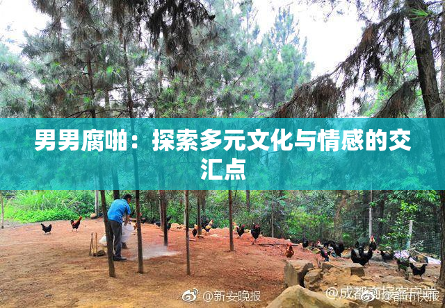 男男腐啪：探索多元文化与情感的交汇点