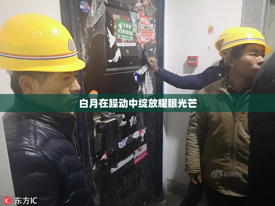 白月在躁动中绽放耀眼光芒