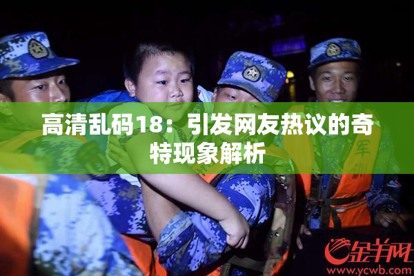 高清乱码18：引发网友热议的奇特现象解析