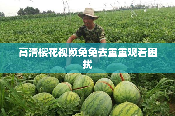 高清樱花视频免免去重重观看困扰