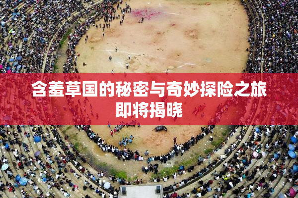 含羞草国的秘密与奇妙探险之旅即将揭晓