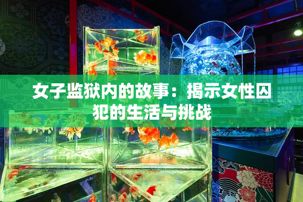 女子监狱内的故事：揭示女性囚犯的生活与挑战