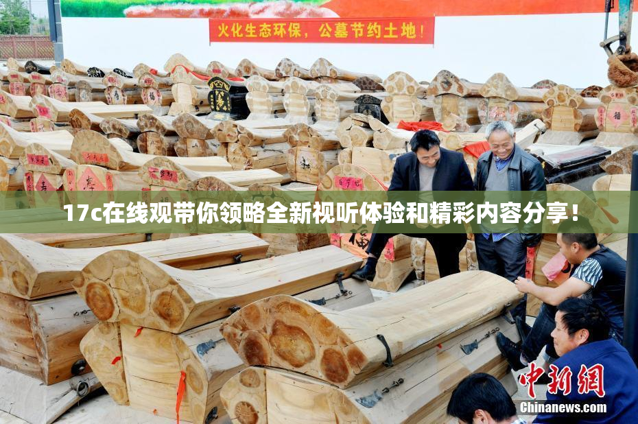 17c在线观带你领略全新视听体验和精彩内容分享！