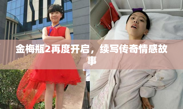金梅瓶2再度开启，续写传奇情感故事