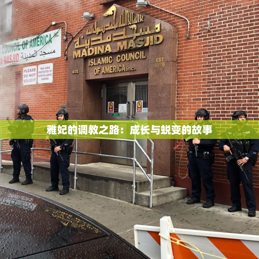 雅妃的调教之路：成长与蜕变的故事