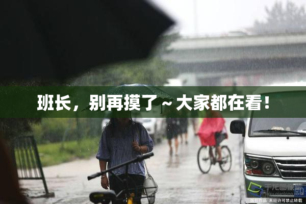 班长，别再摸了～大家都在看！
