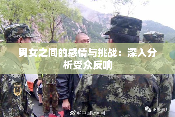 男女之间的感情与挑战：深入分析受众反响