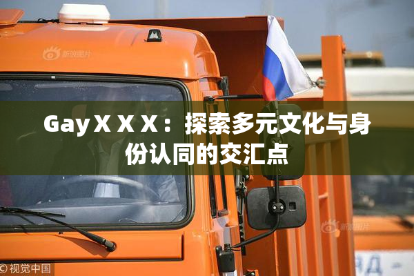 GayⅩⅩⅩ：探索多元文化与身份认同的交汇点