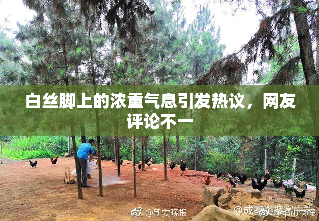 白丝脚上的浓重气息引发热议，网友评论不一