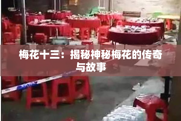 梅花十三：揭秘神秘梅花的传奇与故事