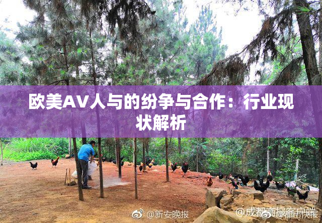 欧美AV人与的纷争与合作：行业现状解析