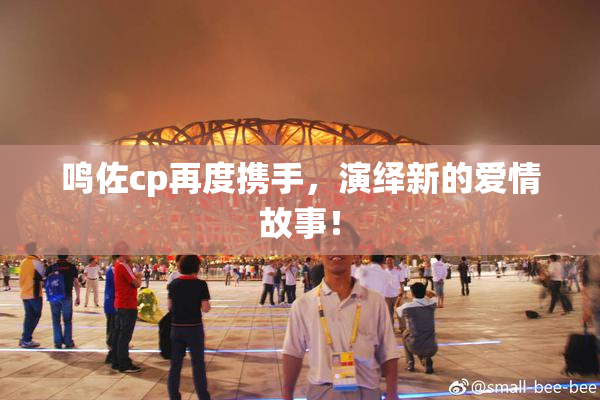 鸣佐cp再度携手，演绎新的爱情故事！