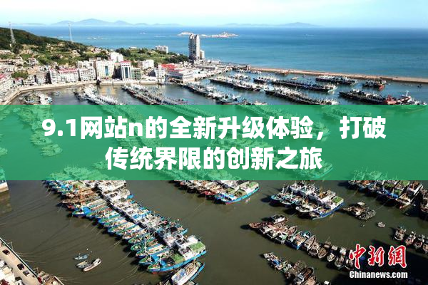 9.1网站n的全新升级体验，打破传统界限的创新之旅