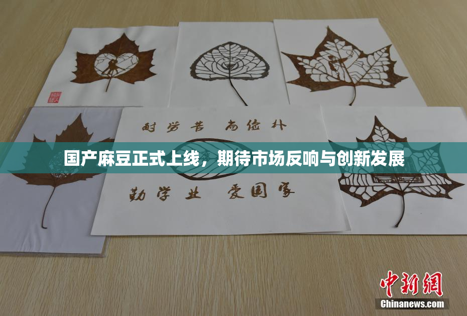 国产麻豆正式上线，期待市场反响与创新发展