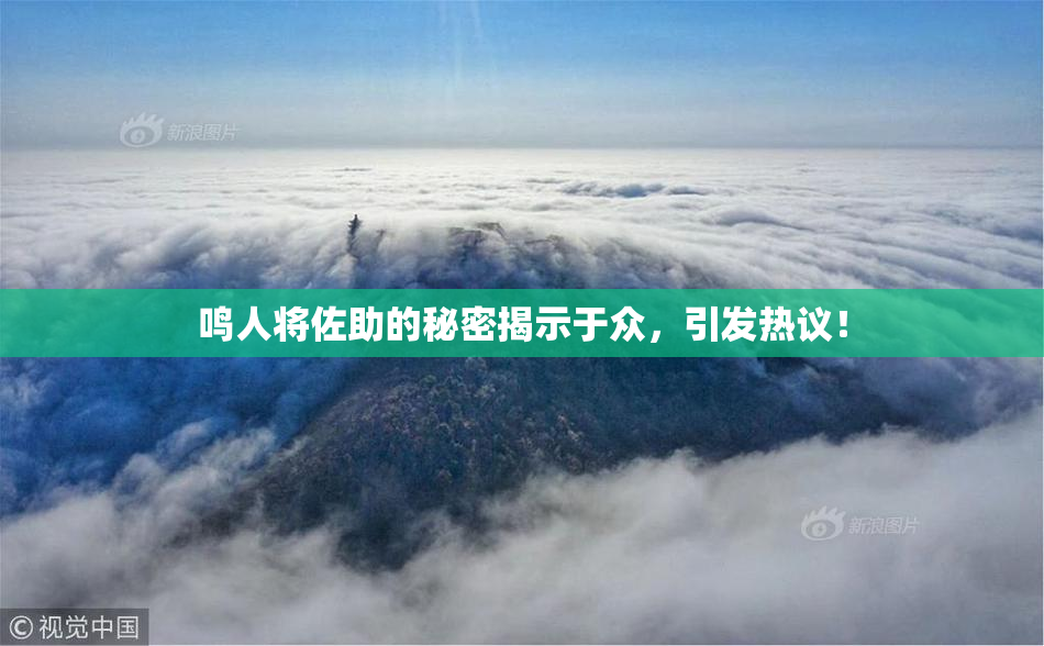 鸣人将佐助的秘密揭示于众，引发热议！