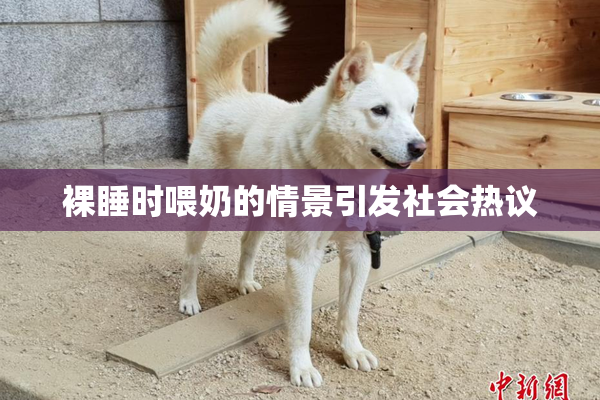 裸睡时喂奶的情景引发社会热议