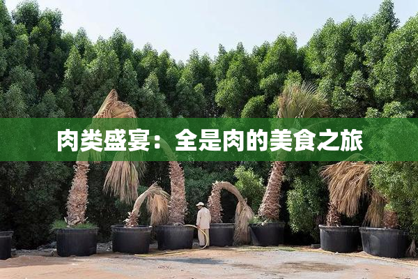 肉类盛宴：全是肉的美食之旅