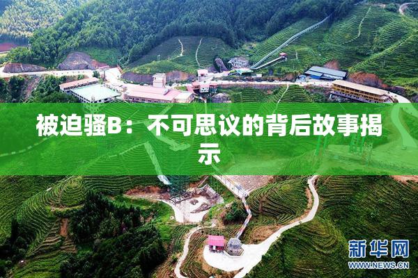 被迫骚B：不可思议的背后故事揭示