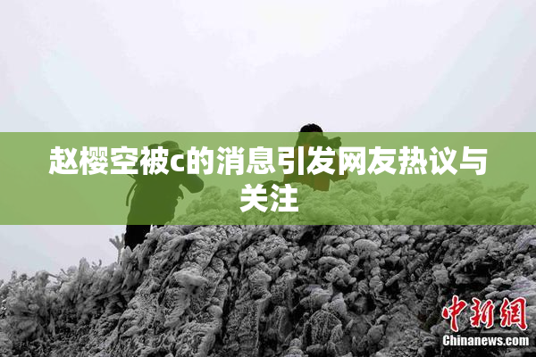 赵樱空被c的消息引发网友热议与关注