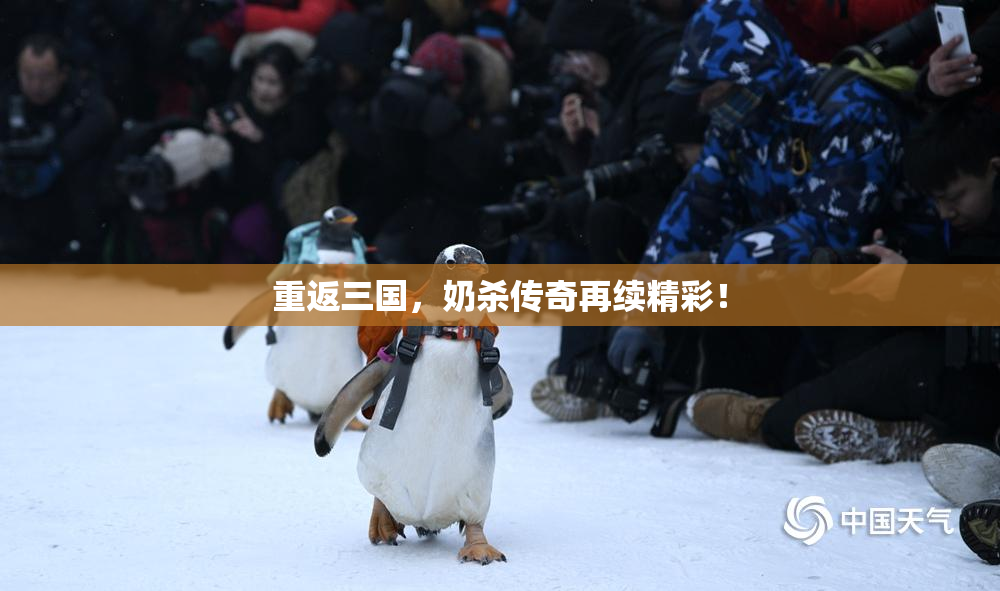 重返三国，奶杀传奇再续精彩！