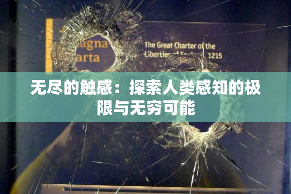 无尽的触感：探索人类感知的极限与无穷可能