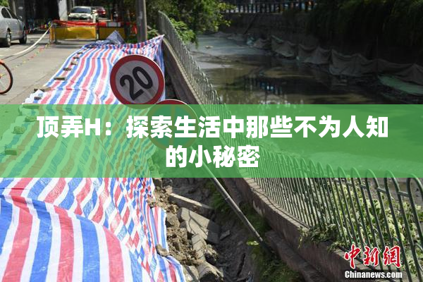 顶弄H：探索生活中那些不为人知的小秘密