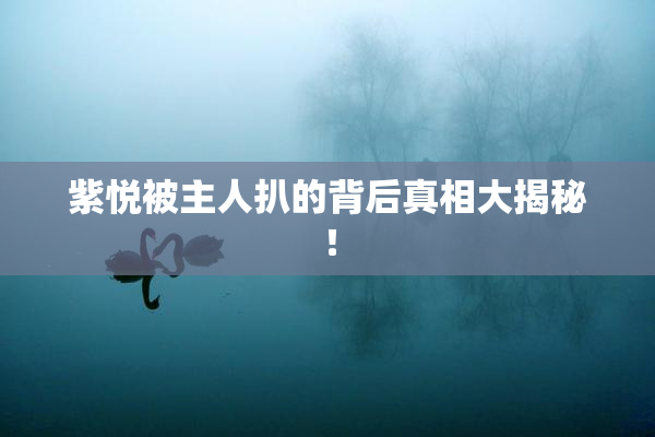 紫悦被主人扒的背后真相大揭秘！
