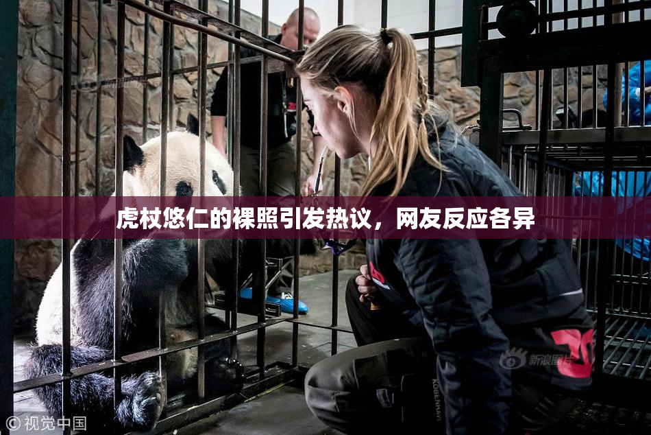 虎杖悠仁的裸照引发热议，网友反应各异