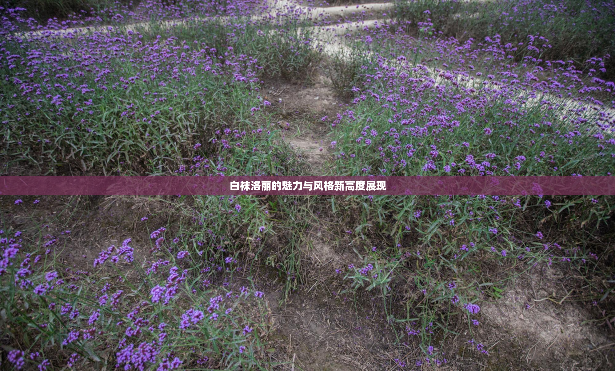 白袜洛丽的魅力与风格新高度展现