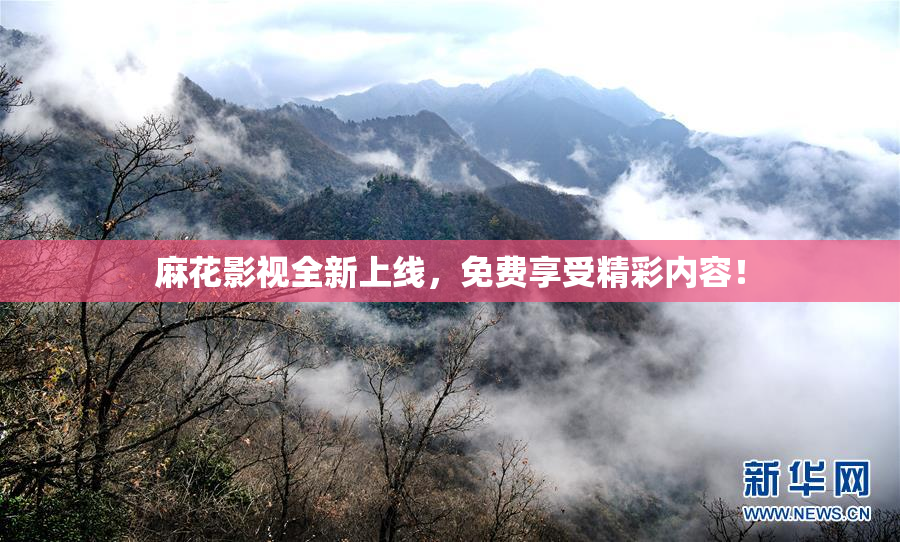 麻花影视全新上线，免费享受精彩内容！