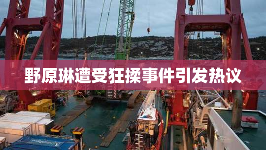 野原琳遭受狂揉事件引发热议