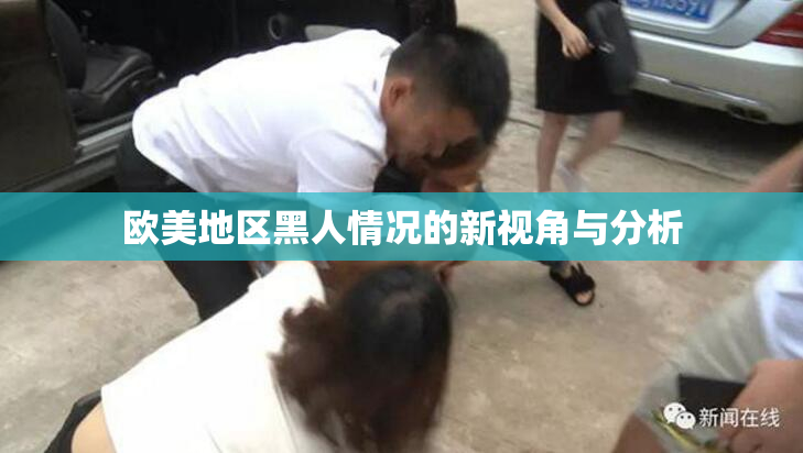欧美地区黑人情况的新视角与分析
