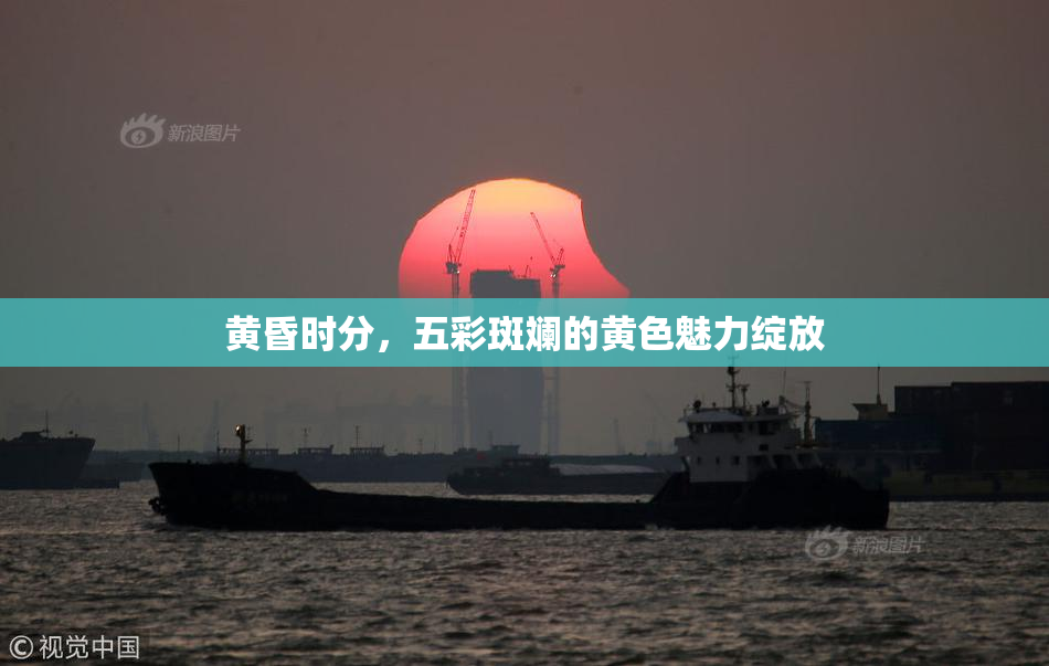 黄昏时分，五彩斑斓的黄色魅力绽放