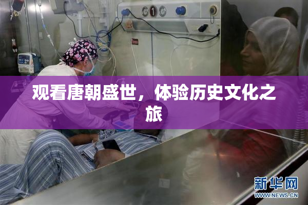 观看唐朝盛世，体验历史文化之旅