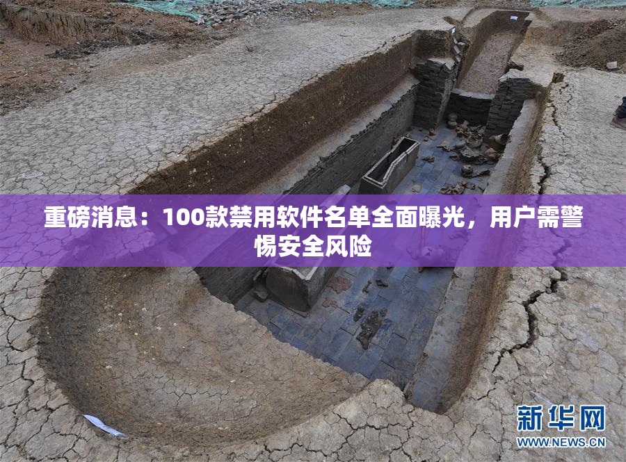 重磅消息：100款禁用软件名单全面曝光，用户需警惕安全风险