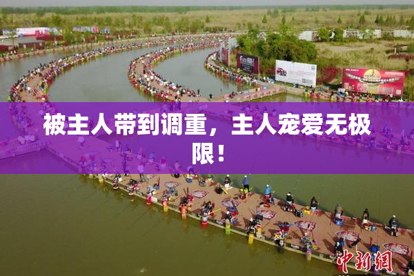 被主人带到调重，主人宠爱无极限！