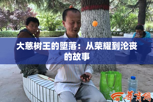 大慈树王的堕落：从荣耀到沦丧的故事
