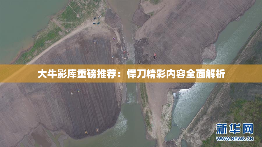 大牛影库重磅推荐：悍刀精彩内容全面解析