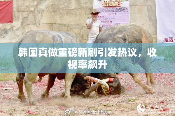 韩国真做重磅新剧引发热议，收视率飙升