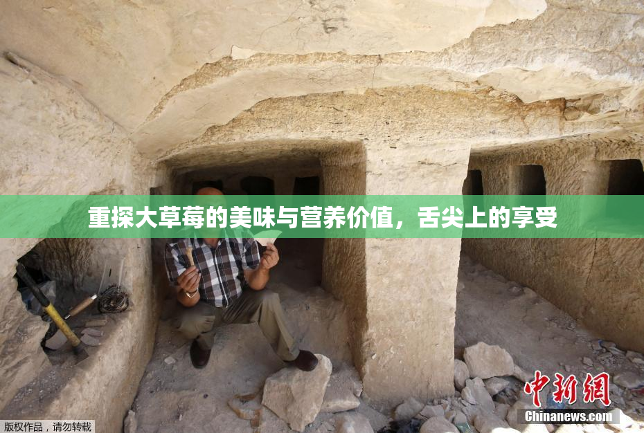 重探大草莓的美味与营养价值，舌尖上的享受
