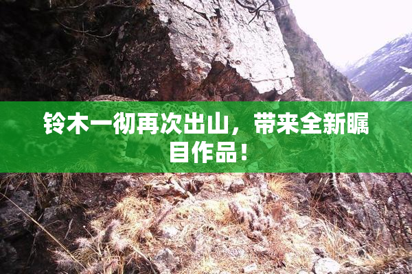 铃木一彻再次出山，带来全新瞩目作品！