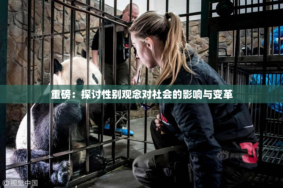 重磅：探讨性别观念对社会的影响与变革