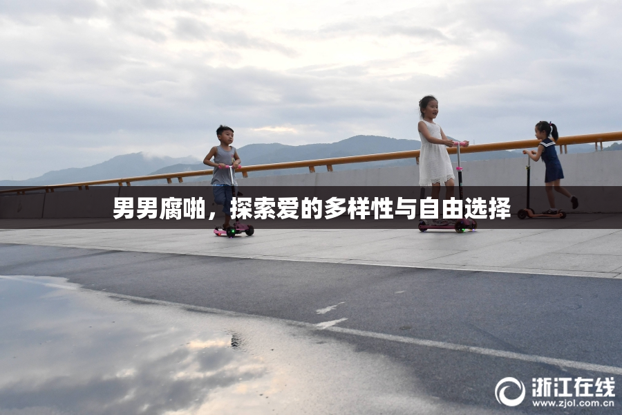 男男腐啪，探索爱的多样性与自由选择