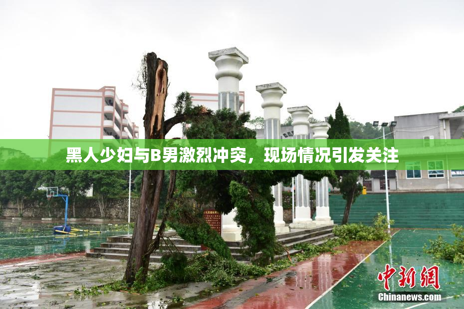 黑人少妇与B男激烈冲突，现场情况引发关注