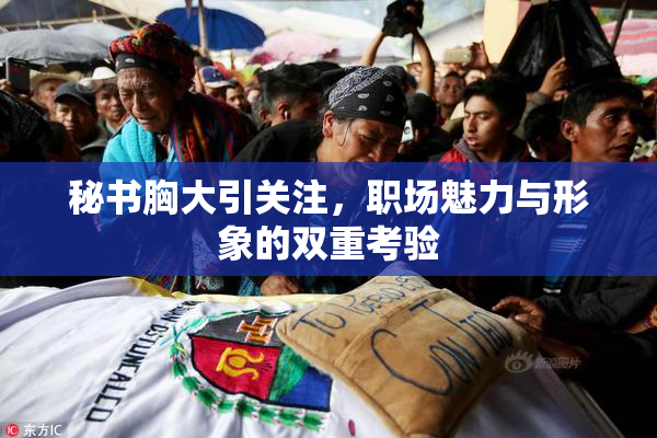 秘书胸大引关注，职场魅力与形象的双重考验